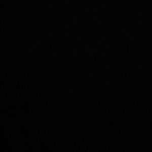 Meet your Posher, Owen